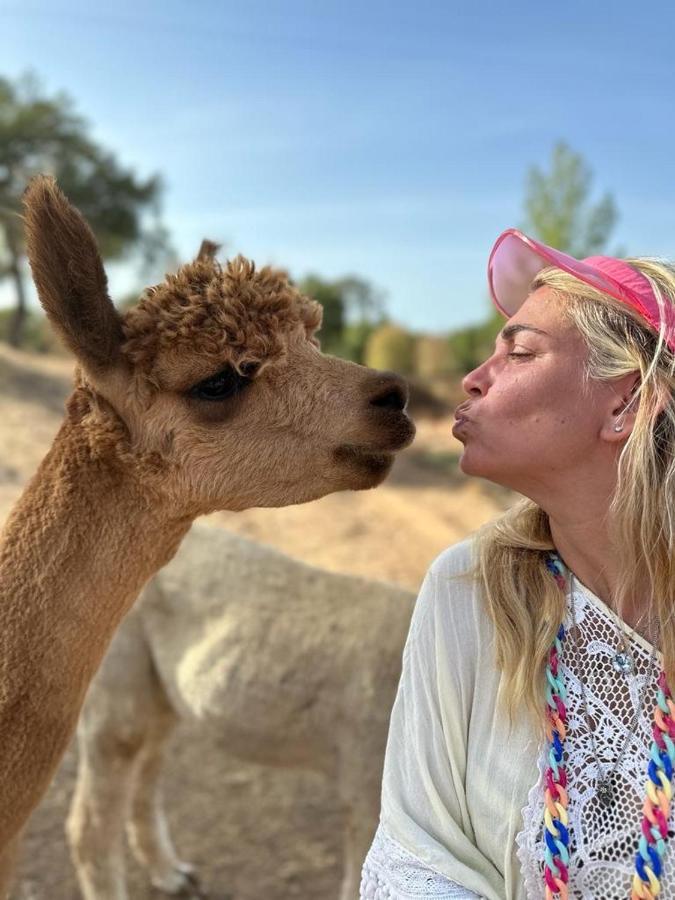 Alpaca Farm And B&B - Mama Adama Грандола Экстерьер фото